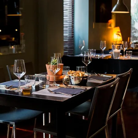 Elena House White * 维亚雷焦